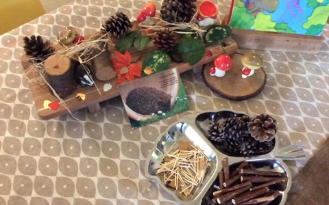 Table with pine cones and twigs