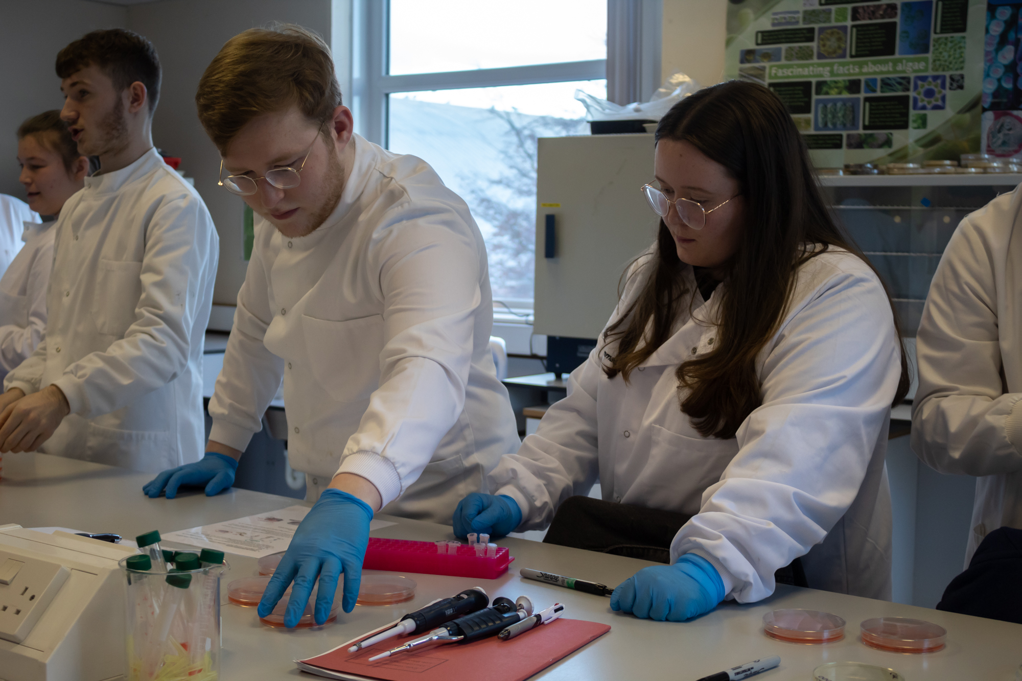 Personal statement examples for early years practitioner picture