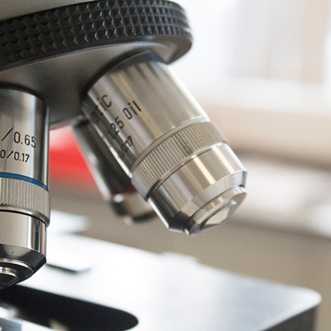 microscope close up