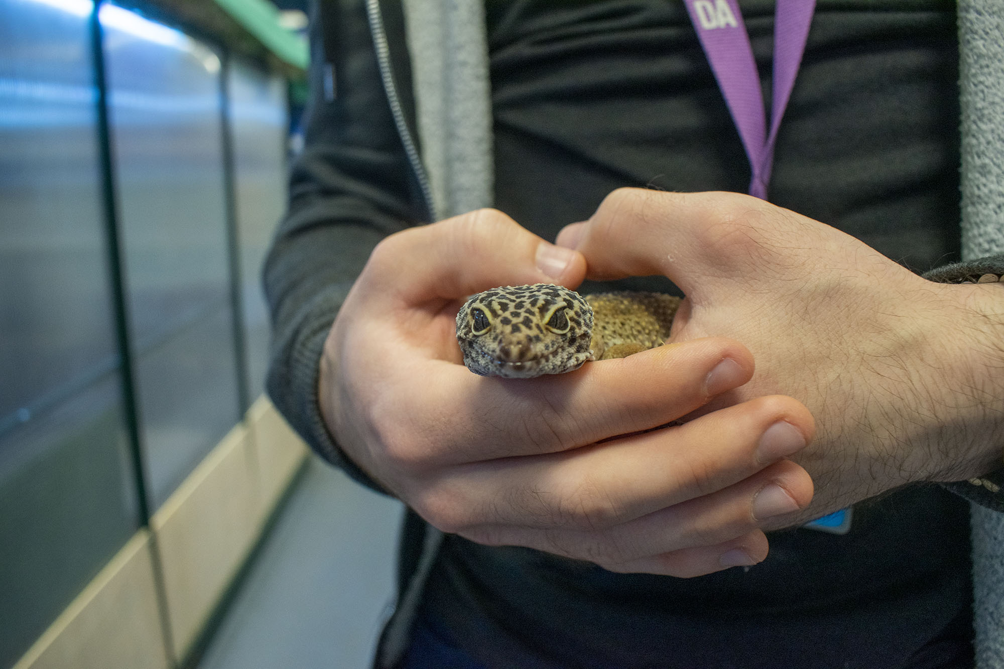 animal care student holding snake