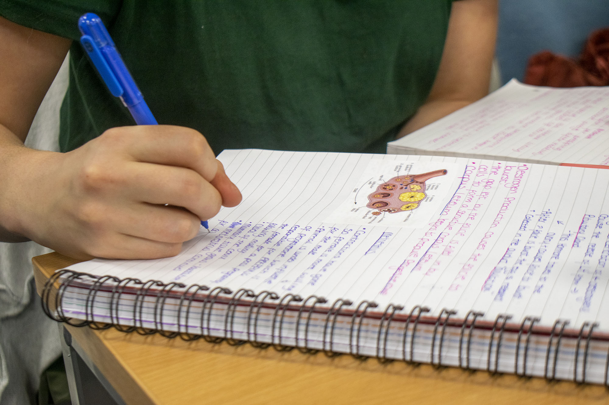 student writing in notepad