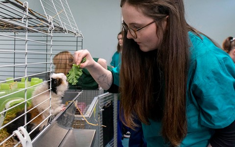 animal care student