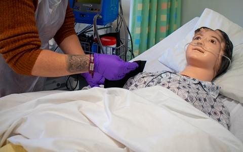 Preperation for a Career in Care