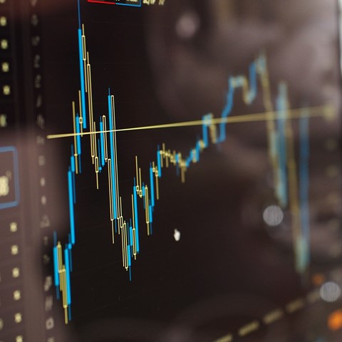 growth chart on computer screen