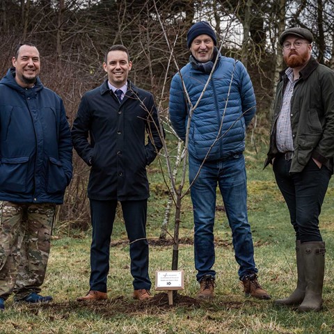 Tree planting