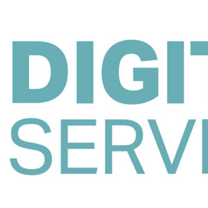 Digital Services Team Logo