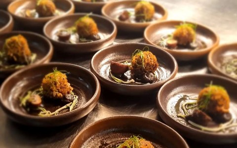 A kitchen counter with multiple brown ceramic plates arranged in rows, each holding a gourmet dish featuring a small, round, breaded and fried item atop a dark sauce, garnished with thin green herbs or microgreens. The background shows kitchen equipment and trays, suggesting a professional kitchen setting
