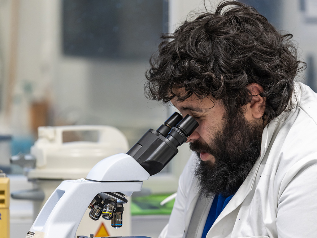 Student looking through a microscope 